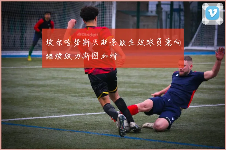 埃尔哈努斯买断条款生效球员意向继续效力斯图加特